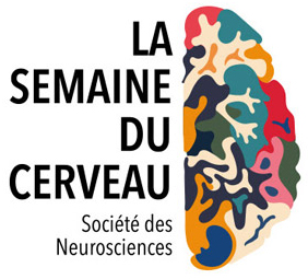 logo semaine du cerveau